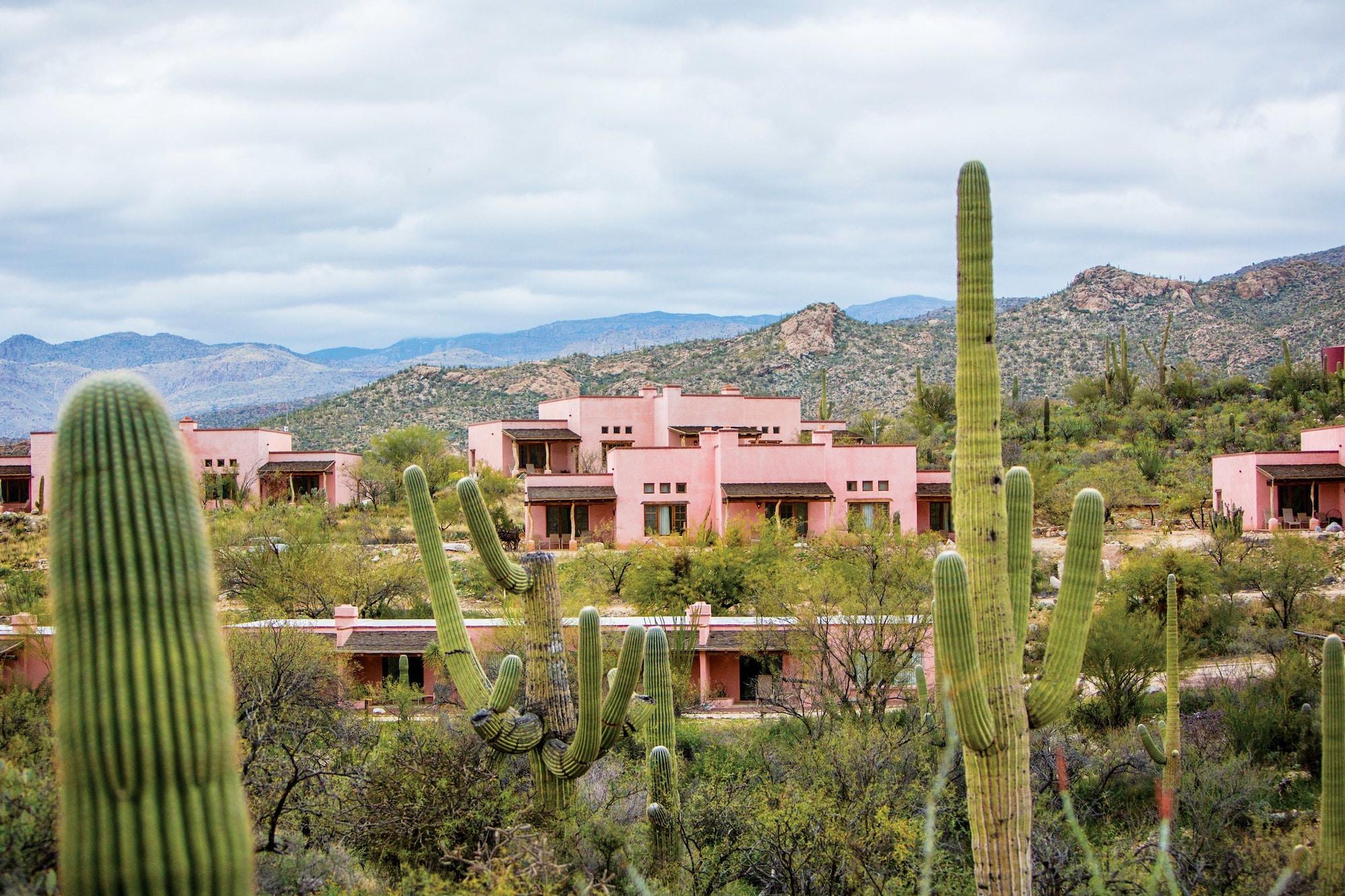 Tanque Verde Guest Ranch Тусон Екстериор снимка