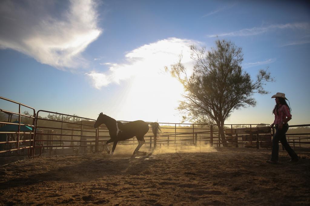 Tanque Verde Guest Ranch Тусон Екстериор снимка