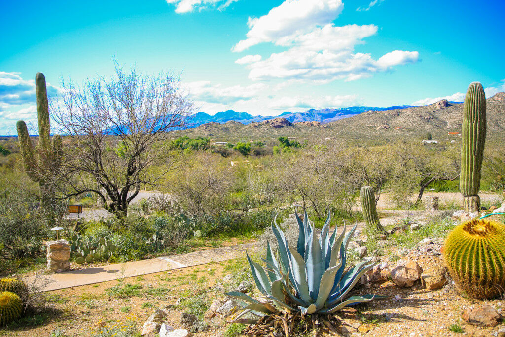 Tanque Verde Guest Ranch Тусон Екстериор снимка
